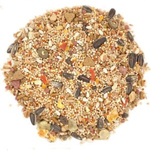 Bird Food 4