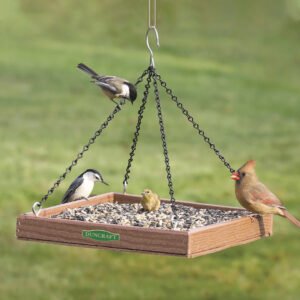 Bird Feeders 2