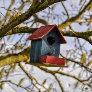 Nest Boxes 2