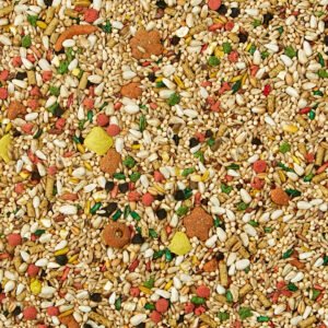 Bird Food 3