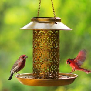 Bird Feeders 3