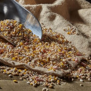 Bird Food 5