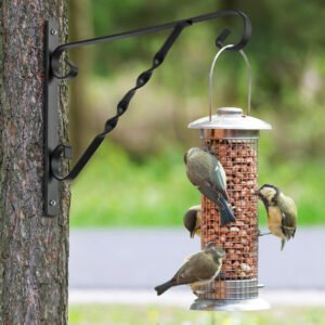 Bird Feeders 4