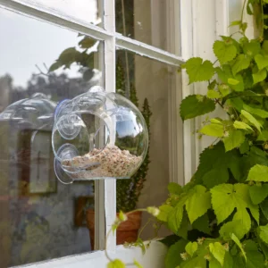 Globe Window Feeder by Peckish