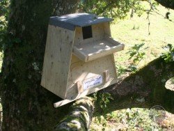 Barn Owl Nesting box, outdoor design - Image 2