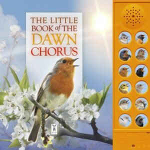 Little Book of Dawn Chorus