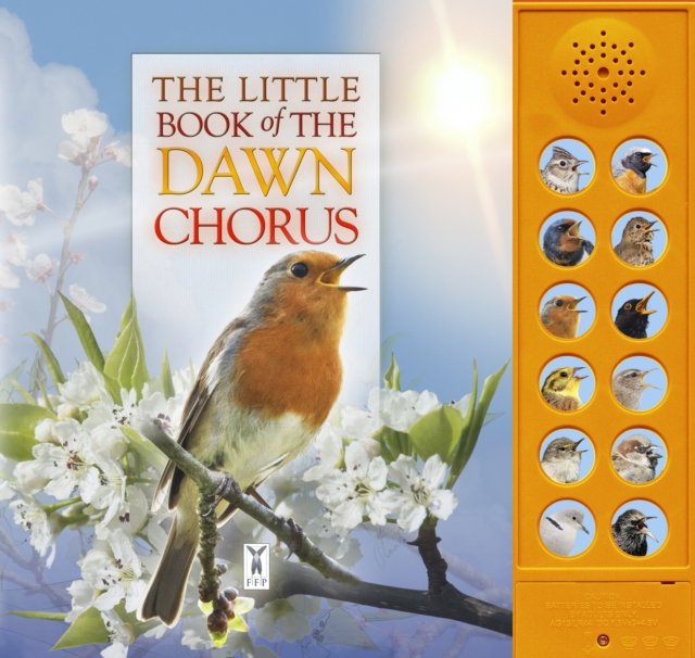 Little Book of Dawn Chorus