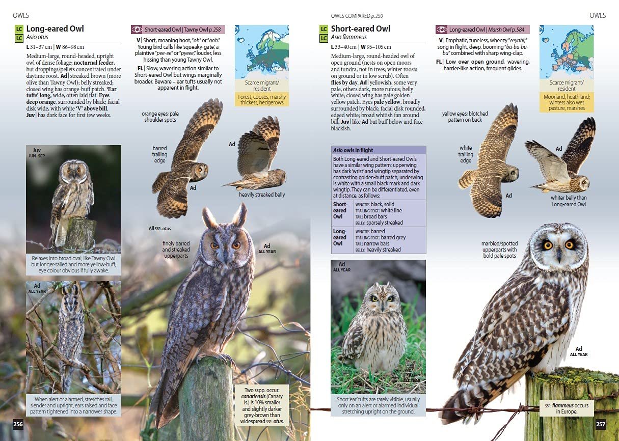 Europe's Birds an identification guide - Image 2