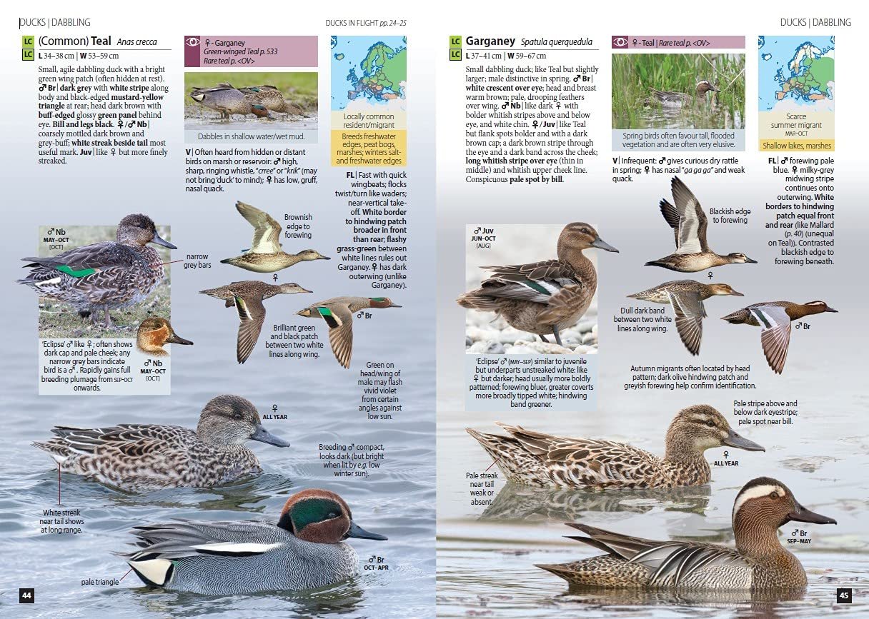 Europe's Birds an identification guide - Image 3