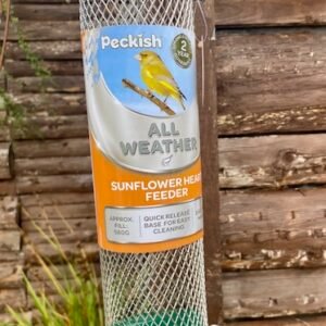 All Weather Sunflower Hearts Feeder by Peckish