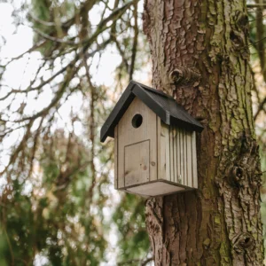 Garden bird Nestbox by Peckish