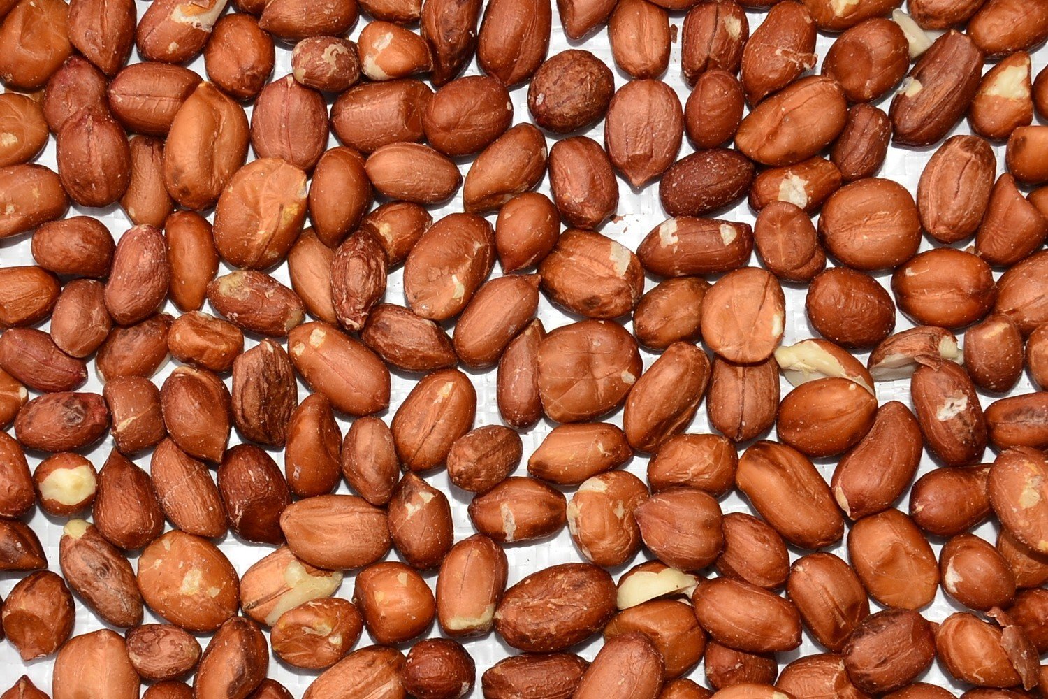 Peanuts, premium quality 10kg