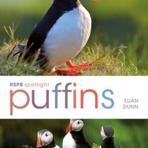 Puffins RSPB Spotlight series