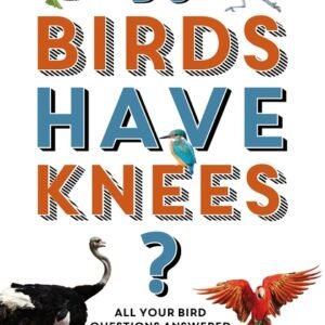 RSPB Do Birds Have Knees? All your bird questions answered