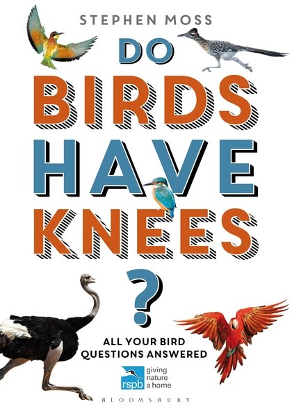 RSPB Do Birds Have Knees? All your bird questions answered