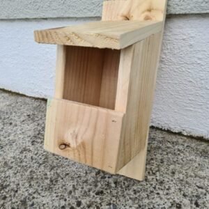 Robin and Wagtail nest box