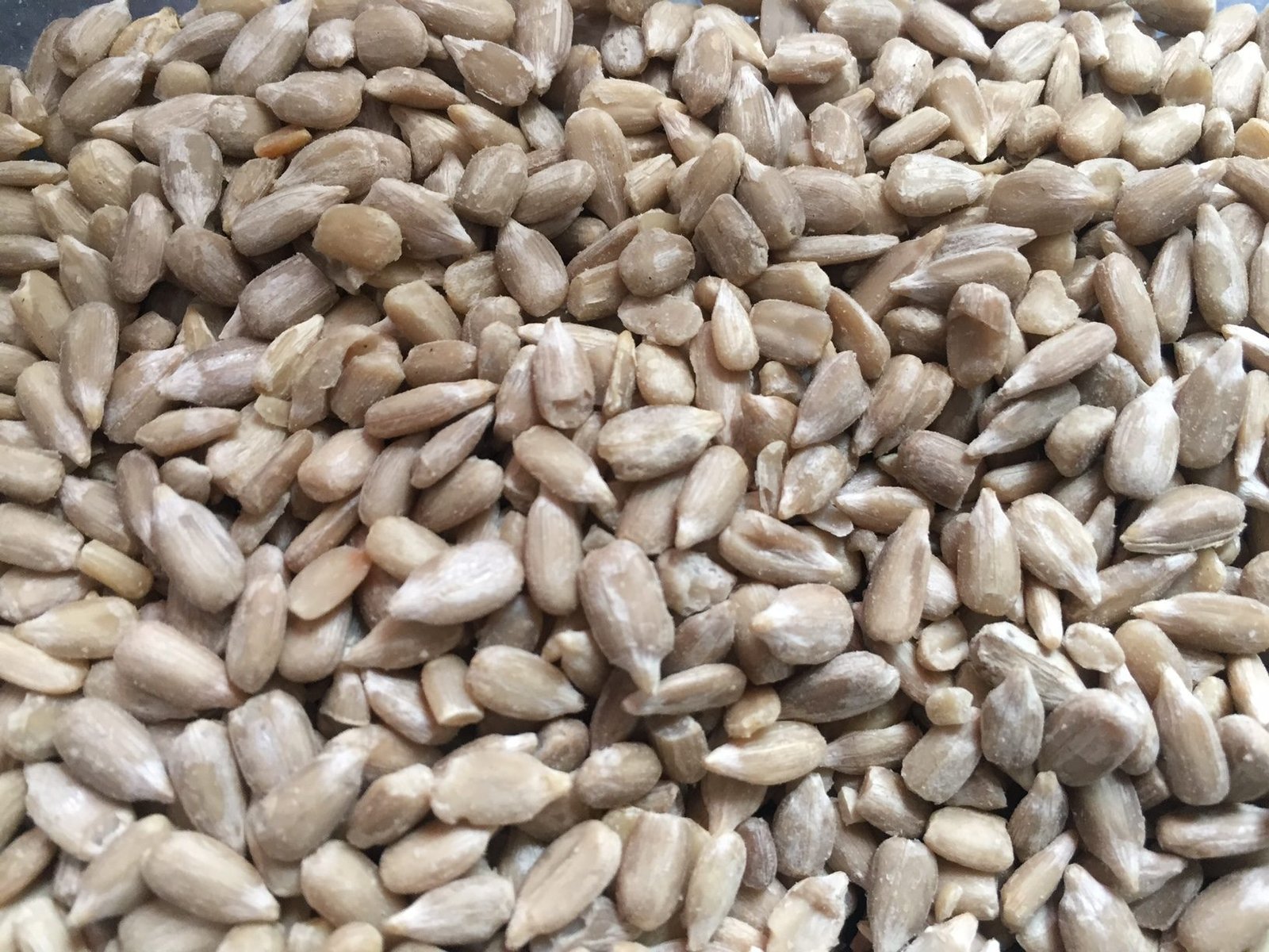 Gardman Sunflower Hearts 12.75 kg sack