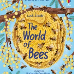 Look Inside the World of Bees